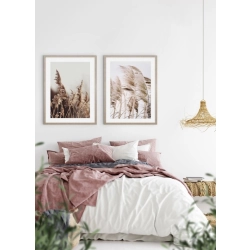 OBRAZ PAMPAS GRASS ON THE WIND NO.1